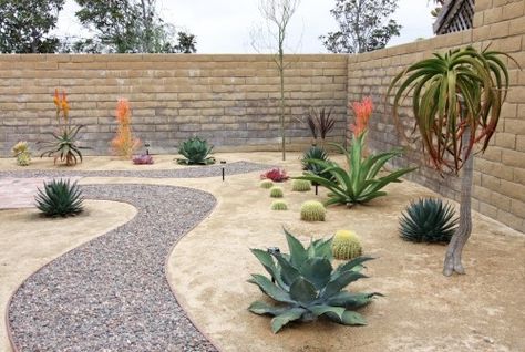 desert landscape ideas | Desert landscaping ideas / Rock Pathway in Xeroscape Garden landscape Desert Succulent Landscape, Cheap Yard Upgrades, Dessert Landscape, Large Succulents, Arizona Backyard Landscaping, Xeriscape Ideas, Xeriscape Garden, Desert Landscaping Backyard, Minimalist Cactus