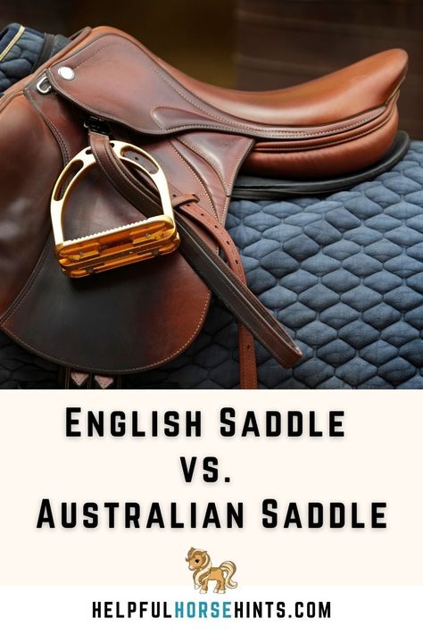 Horse riding is a popular recreational activity among children and adults. With many saddle types in the market today, choosing one can be tedious. We will discuss two basic saddle types common in riding: the English and Australian saddles. Explore the structure, features, and differences between these saddles in this post. #horse #pads #drawing #jumping #riding #aesthetic #helpfulhorsehints English Saddle Pads, Australian Saddle, Riding Aesthetic, Horse Room, Horse Information, Saddle Pads English, Horse Riding Tips, Saddle Fitting, Horse Things