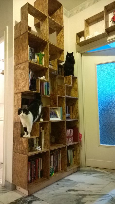 Cat Bookshelf Diy, Cat Bookshelves, Cat Library, Cat Climbing Wall, Cat Castle, Diy Cat Tree, Cat Wall Furniture, Cat House Diy, Cat Playground