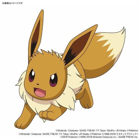 Eve Pokemon, Pokemon Aesthetic, Pokemon Flareon, Corgi Drawing, Cute Wolf Drawings, Wolf Photography, All Anime Characters, Pokemon Tattoo, Pokemon Eeveelutions