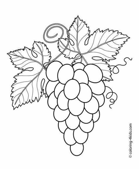 Grape Drawing, Coloring Worksheets For Kindergarten, Fruit Coloring, Vegetable Coloring Pages, Leaf Coloring Page, Garden Coloring Pages, Fruit Coloring Pages, Fruits Drawing, Tree Coloring Page