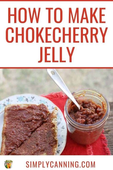 Chokecherry Jelly Recipe; low sugar recipe Fruit Butter Recipes, Spiced Peach Jam, Chokecherry Jelly, Pectin Recipes, Cherry Jelly, Apricot Jam Recipes, Plum Jam Recipes, Low Sugar Jam, Pressure Canning Recipes