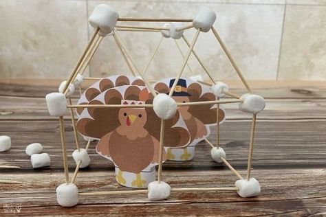 Turkey Stem Activities Kindergarten, How To Catch A Turkey Stem, Turkey Trap Stem Activity, Turkey Cage Stem, Thanksgiving Stem Projects, Turkey Trap, Friendsgiving 2023, Thanksgiving Stem Activities, Turkey Craft For Kids