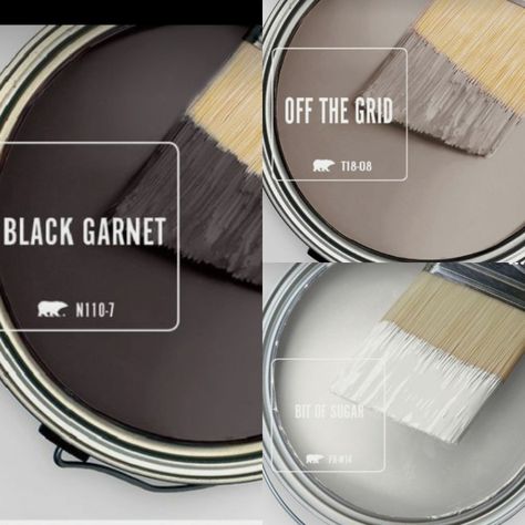 Industrial Modern Paint Palette, Black Trim Tan Walls, Behr Dark Colors, Most Popular Paint Colors 2024, Bathroom Colors Behr, Accent Walls In Living Room Ideas Paint, Behr Paint Colors, Paint Color Inspiration, House Color Palettes