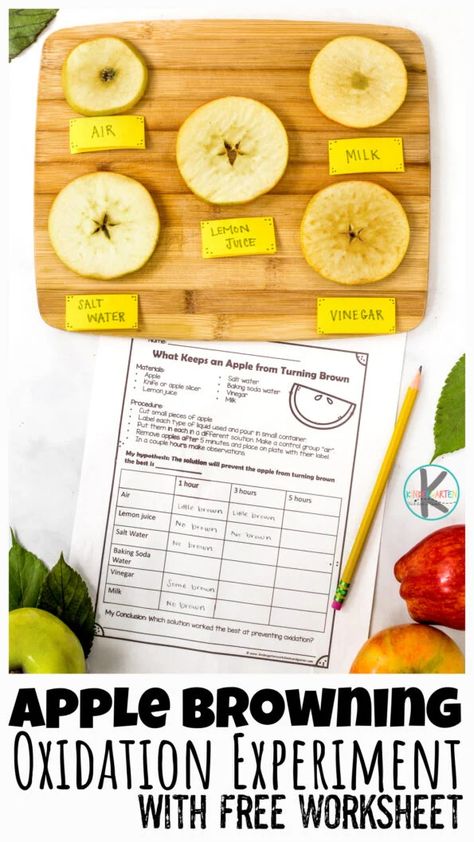 Apple Experiments For Kids, Dan Jabuka, Apple Science Activities, Preschool Apple Worksheets, Apple Projects, Watercolor Salt, Apple Science Experiments, Apple Science, Elementary Montessori