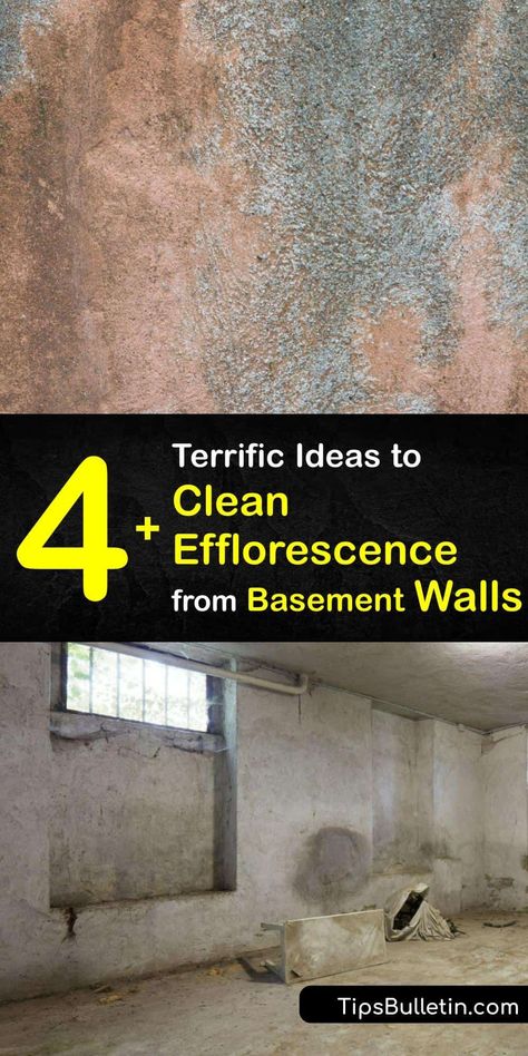 Texture Basement Walls, Cleaning Basement Walls, Efflorescence Removal Diy, Clean Basement Walls, How To Seal Basement Walls, Sealing Basement Walls, Cleaning Basement, Waterproofing Basement Foundation, Basement Refresh