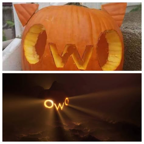 Uwu Pumpkin Carving, Uwu Pumpkin, Pumpkin Carving Ideas Aesthetic, Aesthetic Pumpkin Carving, 웃긴 사진, Really Funny Pictures, Funny Comics, Pumpkin Carving, Dankest Memes