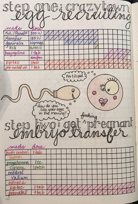 My newest chart for my IVF meds. #ivf #staypositive #getpositive #sprockefylife Fertility Journal, Bullet Journal Tracking, Pineapple Core, 33 Birthday, Banner Doodle, How To Bullet Journal, Ivf Pregnancy, Ivf Journey, Bullet Journal For Beginners