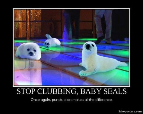 Stop clubbing, baby seals Seal Meme, Grammar Memes, Funny Seals, Funny Teachers, Grammar Jokes, Classroom Memes, Web Games, Funny Today, Demotivational Posters