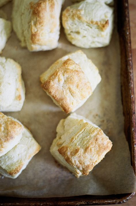 flaky ricotta biscuits (yossy arefi) Biscuits With Yogurt, Biscuits With Cheese Inside, Ricotta Biscuits, Mozzarella Stuffed Biscuits, Savory Ricotta Scones Recipe, Ricotta Scones, Ridiculously Easy Buttermilk Biscuits, Brunch Foods, Yummy Biscuits