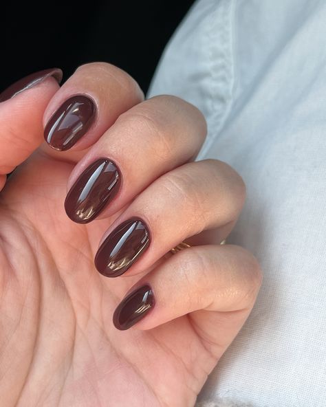 fall calls for chocolate brown nails 🐻🍂🤎 Brown Short Acrylic Nails, Chocolate Brown Nails, Sugar Nails, Short Acrylic, Brown Nails, Short Acrylic Nails, Fall Nails, Fake Nails, Chocolate Brown