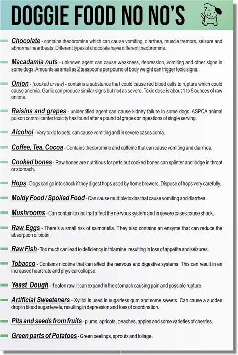 Amazon.com: What Not to Feed Dogs Magnet for Your Kitchen- List of 30 Toxic Foods For Dogs- Helpful Puppy Supplies: Home & Kitchen Dog Food List, Things Dogs Cant Eat, Toxic Foods For Dogs, Dog Magnets, Toxic Foods, Types Of Chocolate, Kitchen Magnet, Puppy Supplies, Red Blood Cells