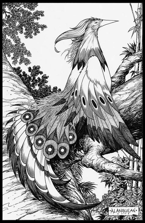 Ibong Malaya is an epic written in the 18th Century about an eponymous magical bird. Ibong Adarna Poster, Ibong Adarna Drawing, Ibong Adarna Characters, Eagle Drawing, Philippine Art, Paper Mosaic, Poster Drawing, Calf Tattoo, Black Butler Anime