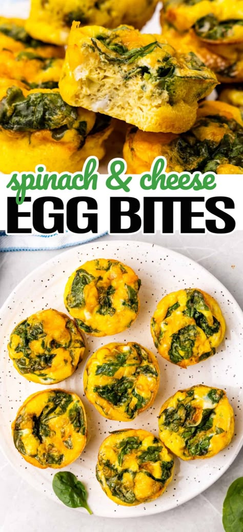 Egg And Spinach Muffins, Spinach Egg Bites, Eggs Bites, Egg And Cheese Bites, Breakfast Egg Bites, Mini Egg Muffins, Brunch Favorites, Spinach Side, Spinach Bites