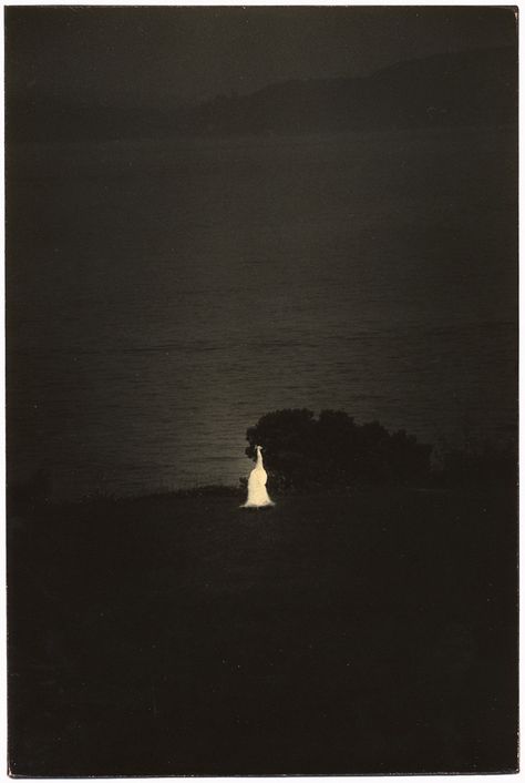 Untitled #712 from the series A Box of Ku, 9 x 6.4 inch gelatin silver print with mixed media https://www.yanceyrichardson.com/artists/yamamoto-masao#17 Masao Yamamoto Photographs, Yamamoto Masao, Masao Yamamoto, Infinite Void, Ethel Cain, Bw Photography, Gelatin Silver Print, Silver Print, Contemporary Photographers