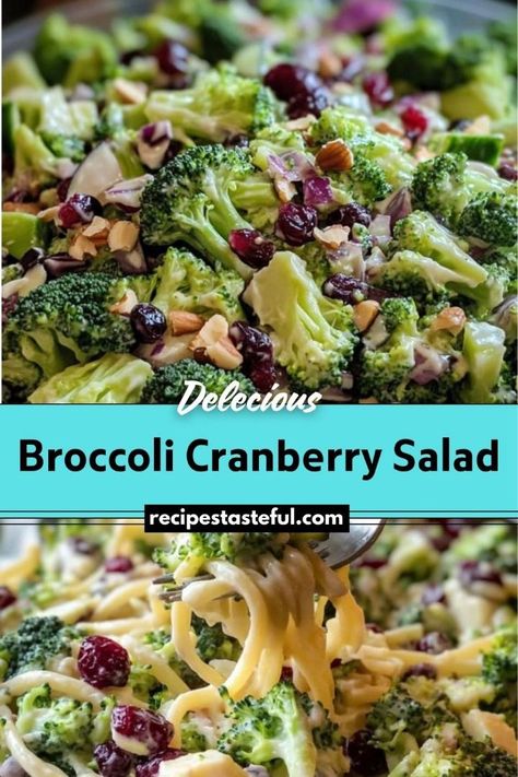 A refreshing and vibrant side dish, this Broccoli Cranberry Salad combines crunchy broccoli with sweet dried cranberries, optional cheddar cheese, and bacon, all tossed in a tangy creamy dressing. Perfect for potlucks, barbecues, or as a nutritious addition to any meal. Broccoli Cranberry Salad Recipes, Broccoli Cranberry Salad, Broccoli Salad With Cranberries, Crunchy Broccoli, Cheese Salad Recipes, Cranberry Salad Recipes, Traditional Thanksgiving Recipes, Easy Thanksgiving Recipes, Cranberry Salad