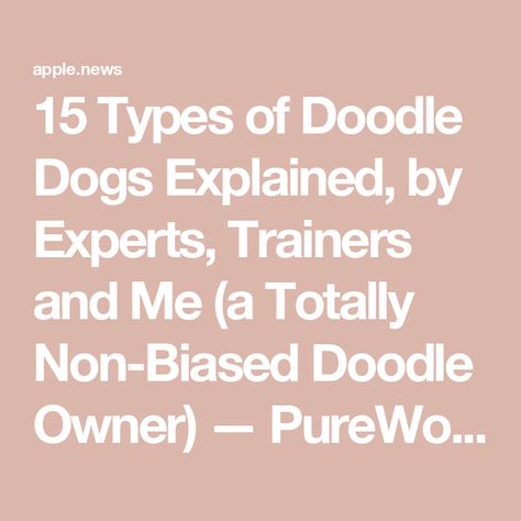 15 Types of Doodle Dogs Explained, by Experts, Trainers and Me (a Totally Non-Biased Doodle Owner) — PureWow Types Of Doodles Dogs, Types Of Doodles, Doodle Dogs, Doodle Dog, Template Ideas, Energy Level, Personalities, Dog Breeds, Doodles