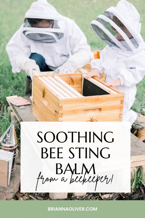 As a beekeeper, we know stings happen. Here's how we naturally treat bee stings with an essential oil bee sting balm, or soothing essential oil insect bite balm. Bee Sting Remedy Essential Oils, Bee Sting Essential Oil, Treating Bee Stings, Remedies For Bee Stings, Essential Oils For Inflammation, Inflammation Remedies, Insect Bite, Bug Bite, Backyard Beekeeping