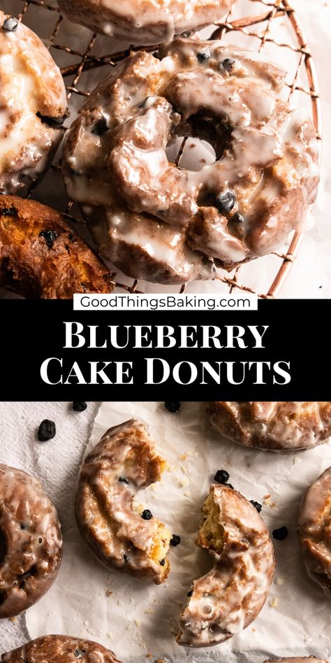 These blueberry cake donuts will rival any that you find at your favorite donut shop. They're deep fried with a crackly layer of glaze and a tender, lightly sweet center. Baked Blueberry Donut Recipe, Dried Blueberry Recipes, Blueberry Donuts Baked, Blueberry Cake Donut Recipe, Blueberry Donut Holes, Blueberry Donut Recipe, Cake Donut Holes, Cake Doughnuts Recipe, Blueberry Bagels