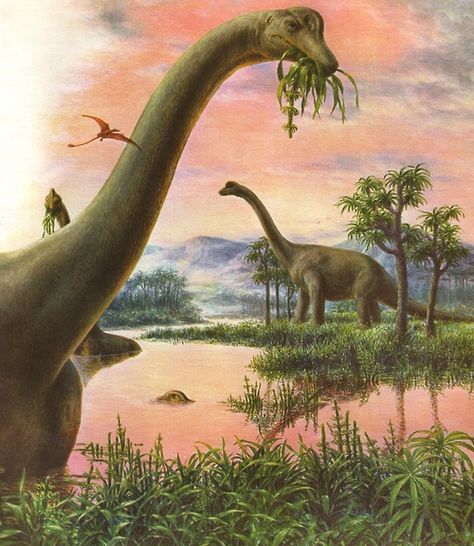 Eating Illustration, Illustration Postcard, Prehistoric Wildlife, Dinosaur Images, Dinosaur Drawing, Dinosaur Pictures, Dinosaur Illustration, Prehistoric World, Jurassic World Dinosaurs