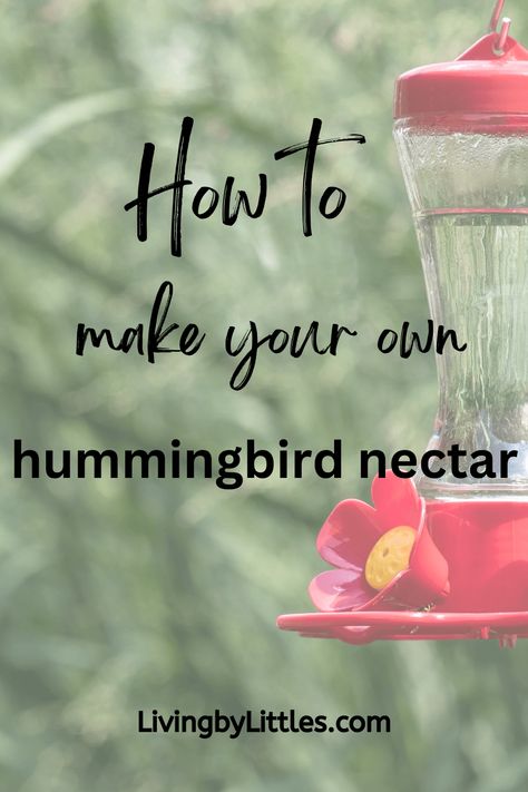 How to Make Your Own Hummingbird Nectar How To Make Hummingbird Nectar, Hummingbird Recipe, Hummingbird Food Recipe, Hummingbird Mix, Hummingbird Nectar Recipe, Red Food Dye, Red Hummingbird, Hummingbird Food, Hummingbird Nectar