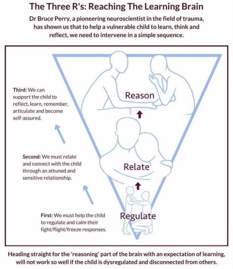 Bruce Perry, Classroom Strategies, Parenting Resources, School Social Work, Child Therapy, Clinical Psychology, Counseling Resources, Family Therapy, Play Therapy