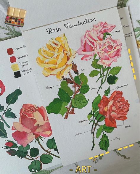 Art Sketchbook Inspiration Aesthetic, Sketchbook Inspiration Aesthetic, Botanical Sketchbook, Art Alevel, Posca Marker, Flower Art Drawing, Gouache Art, Inspiration Aesthetic, Art Corner