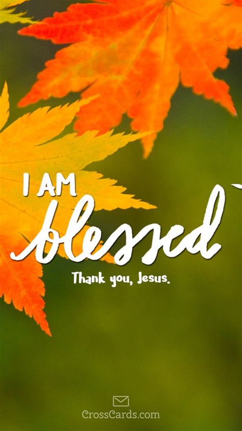 I Am Blessed Fall Blessings Quotes, I Am Blessed Quotes, Blessed Affirmations, Happy Scripture, Blessed Wallpaper, Blessed Life Quotes, Wallpaper Bible, Blessed Quotes, Quote Iphone