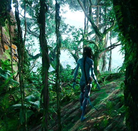 Avatar Plants, Avatar Environment, Pandora Forest, Spider Socorro, Aesthetics Icon, Avatar Pics, Jake English, Environment References, Avatar 2009