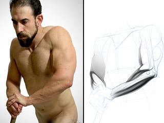 Proko - How To Draw Forearms – Anatomy for Artists Forearms Anatomy, Proko Anatomy, Forearm Anatomy, Male Reference, Face Anatomy, Style Reference, Anatomy For Artists, Drawing Tutorials, Pose Reference