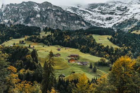 aerial photography of houses on green hill photo – Free Switzerland Image on Unsplash Switzerland Wallpaper, Hill Photo, Desktop Wallpaper Art, Image Nature, Tree Images, Wallpaper Laptop, Forest Wallpaper, Aesthetic Desktop Wallpaper, Macbook Wallpaper