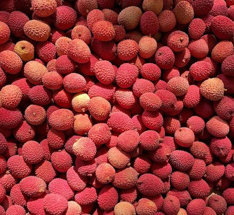 Tata on Instagram: “Litchis ☄️ #litchifruit #fruit #fruitlovers #red #sunlight #minimalism #minimal #minimalmood #iphonephotography #iphonephotographer…” Litchi Fruit, Manhattan Nyc, September 2, Iphone Photography, Mobile Photography, Madagascar, Whole Food Recipes, Dog Food Recipes, Food Animals