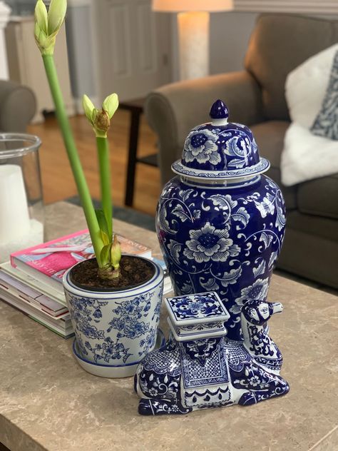 I love this combination of my new ginger jar, this precious camel, and a double bloom amaryllis in a light and airy chinoiserie pot. Chinisorie Decor, Ginger Jars Decor, Jars Decor, Table Ware, Ginger Jar, Ginger Jars, Kitchen Colors, Chinoiserie, Decorative Jars