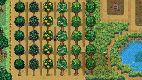 Stardew Tree Layout, Fruit Trees Stardew Valley, Stardew Fruit Trees, Stardew Valley Fruit Trees Layout, Stardew Valley Tree Farm Layout, Stardew Valley Fruit Trees, Stardew Animals, Stardew Tips, Plant Fruit Trees