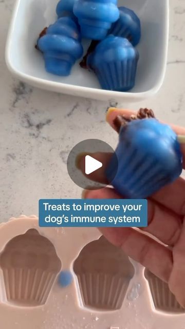 EmeryPets on Instagram: "This is a tasty yet healthy frozen dog treat! Mold: ice cream + cupcake Recipe: -add 1 tbsp goats milk powder and 1/4 tsp of spirulina to a bowl -add 1/2 cup of hot water and mix -pour into molds but don’t fill it to the tippy top -add your dogs favorite jerky treat into each treat mold -freeze for 3-5 hours and store in freezer till ready to serve" Ice Cream Cupcake, Ice Cream Cupcakes, Frozen Dog, Puppy Treats, Cupcake Recipe, Goats Milk, Milk Powder, Dog Treat, Powdered Milk