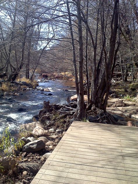 Lakefront Deck Ideas, Creek Dock, Creekside Landscaping, Easy Front Yard Landscaping Ideas, Easy Front Yard Landscaping, Mulch Landscaping, Hillside Landscaping, Lawn Sprinklers, Front Yard Landscaping Ideas