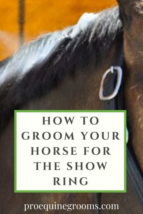 Take your grooming routine to the next level for that upcoming show! Discover expert tips, must-have products, and step-by-step guides to ensure your horse looks its absolute best. #HorseGrooming #ShowPreparation Horse Information, Horse Care Tips, Horse Equipment, Horse Grooming, Grooming Tips, Horse Trailers, Horse Health, Grooming Routine, Horse Show