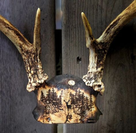 Did you know you could sand off bone? Learned that today 🤗 Antlers 🦌 #antlers #hunting #hunter #deerskull #skull #art #deerart #taxidermy #woodburner #pyrography Painting Deer Skulls, Painted Deer Skulls, Types Of Bones, Pyrography Designs, Skull Crafts, Deer Horn, Bone Crafts, Bone Art, Diy Calendar