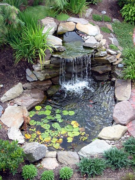 Small Backyard Ponds, Diy Ponds Backyard, Fish Pond Gardens, Taman Air, Garden Pond Design, Diy Pond, Small Pond, Garden Waterfall, Pond Waterfall