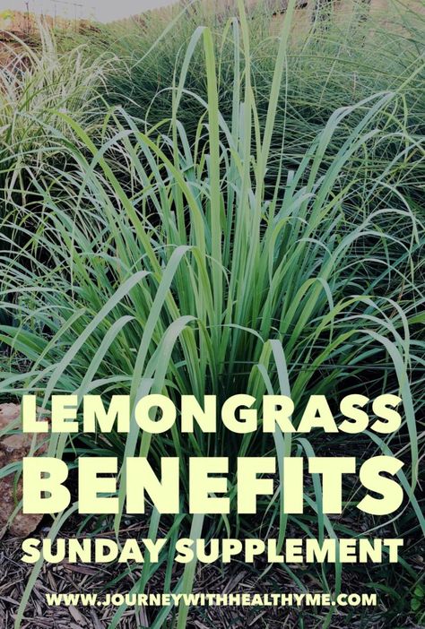 Lemongrass Benefits – Journey With Healthy Me Healing Herbs Lemongrass Tea Benefits of Lemongrass Lemon Grass Benefits Health, Lemongrass Benefits Teas, Lemongrass Leaves Recipes, Uses For Lemon Grass Leaves, Lemongrass Landscaping Ideas, Lemon Grass Plant Benefits, Benefits Of Lemongrass Tea, Lemon Grass Recipes, Lemon Grass Benefits