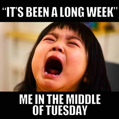 only tuesday work meme Funny Tuesday Work Memes, Funny Tuesday Memes Humor, Tuesday Work Humor, Tuesday Meme Humor, Tuesday Meme, Tuesday Humor, Funny Work, Work Motivation, Work Memes