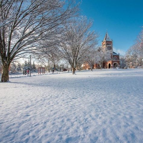 University Of New Hampshire, Study Pictures, Dream College, Frat Boy, Junior Year, Grad School, Trust The Process, Snow Storm, Blue Skies