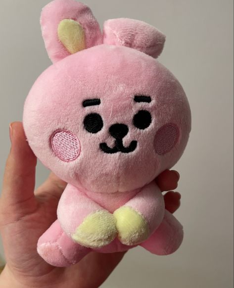 Bt21 Stuff Toys, Cooky Bt21 Plushie, Jungkook Plushie, Cooky Bt21 Aesthetic, Kooky Bt21, Cookie Bts, Bt21 Plushies, Cooky Bt21, Bt21 Cooky