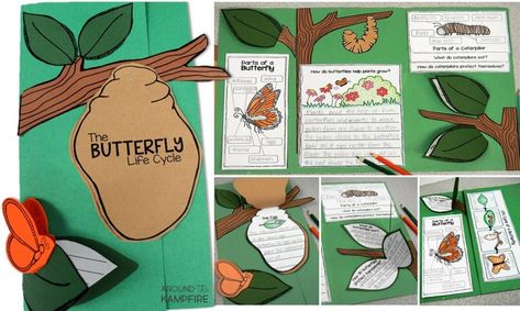 Butterfly life cycle lapbook-a creative way to get kids writing about science and create a learning portfolio. Butterfly Math Activities, Butterfly Science Activities, Butterfly Life Cycle Activity, Science Life Cycles, Butterfly Science, Butterflies Activities, Science Centers, Life Cycles Activities, Measurement Activities