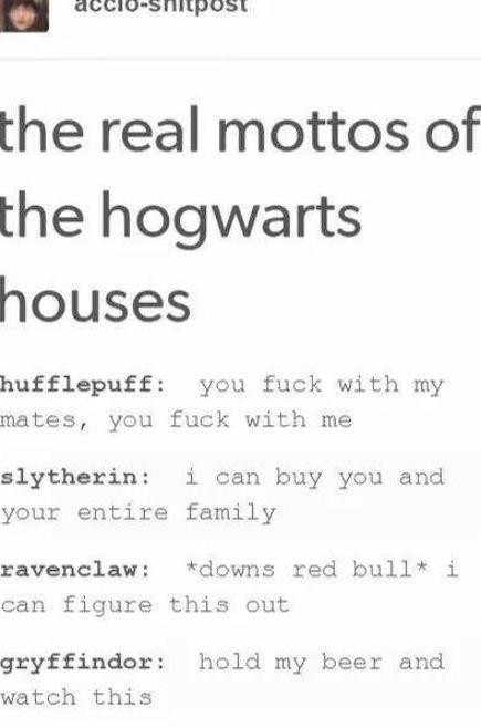 Hogwarts Houses Tumblr Posts, Hogwarts Houses Slytherin, Hogwarts Houses Headcanons, Houses Of Hogwarts Memes, Slytherin X Gryffindor Couple, Mbti Hogwarts Houses, Ravenclaw And Slytherin Couple, Ravenclaw And Slytherin Relationship, Ravenclaw X Slytherin