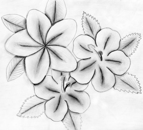 This beautiful hibiscus flower drawing was originally made by the artist to represent the tranquility that is brought to viewers when they are gazing upon the native Hawaiian flower. This piece is the perfect addition to any busy office space and will add a tone of tranquility to bring calm into a space that can otherwise emanate chaos. This product is also the perfect addition to any living space that simply needs some personality and serenity. Please note that the original sale of this product Habisquis Flower, Hibiscus Drawing, Hibiscus Flower Drawing, Drawing Realism, Busy Office, Hawaiian Flower, Flower Sketches, Hawaiian Flowers, Drawing Pencil