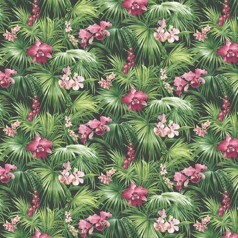 Forest Green And Pink Kitchen, House Mural, Pink And Green Wallpaper, Hallway Wallpaper, Tropical Florals, Colour Themes, Wallpaper Bathroom, World Wallpaper, Phone Layout