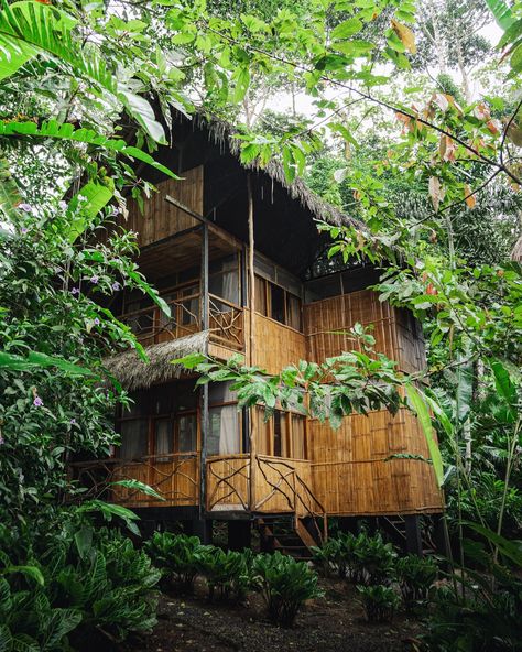 This Lodge sitting at the Napo River and emerged in the Amazon Rainforest is the Selina Tena Lodge. It was my favorite place on our 8 day trip to Ecuador 🇪🇨. It really added a comfy atmosphere yet still provided that rainforest adventure vibe that I was looking forward too. The lodge offers countless activities like • Rainforest Night Walk • Traditional Cacao ceremony • Guided Rainforest Day Hikes • Massages & Spa Treatments and more…. 📍 Tena, Ecuador 🏨 @selina Would you stay here?... Ecuador Rainforest, Spa Treatments Massage, Cacao Ceremony, The Amazon Rainforest, Night Walk, Amazon Rainforest, Spa Massage, Day Hike, Spa Treatments