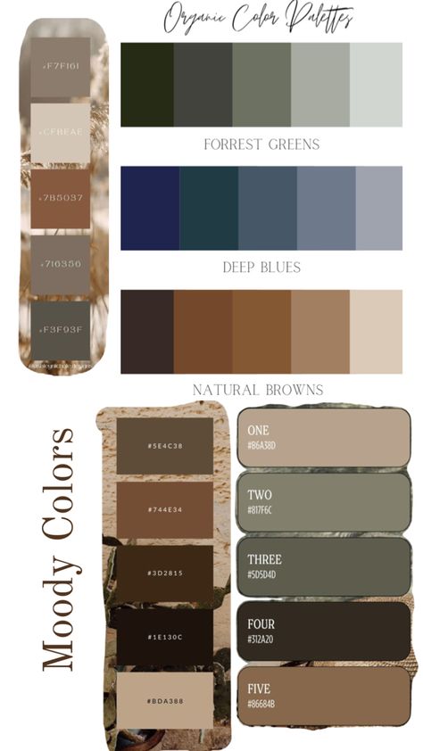 Moody colors Moody Cottage Paint Colors, Pittsburg Paints Colors, Paint Wall Ideas, Dark Moody Paint Colors, Moody Color Scheme, Wall Painting Colors, Man Cave Paintings, Moody Paint Colors, Cottage Paint Colors