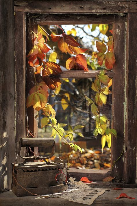 . Window Autumn, Fall View, Autumn Window, October Country, Brown Autumn, Autumn Scenes, Foto Tips, Antique Iron, Window View